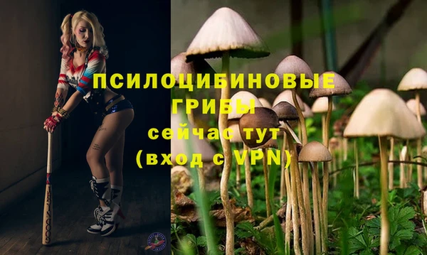 jwh Горняк